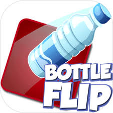 Bottle Flip 3d